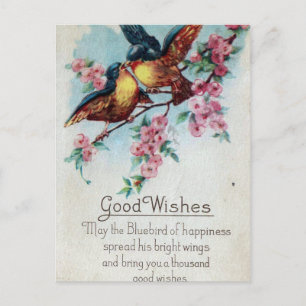 Cartão Postal Vintage Bluebird Good Wish