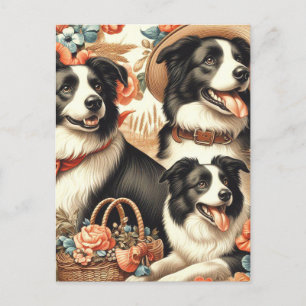 Cartão Postal Vintage Border Collie Painting