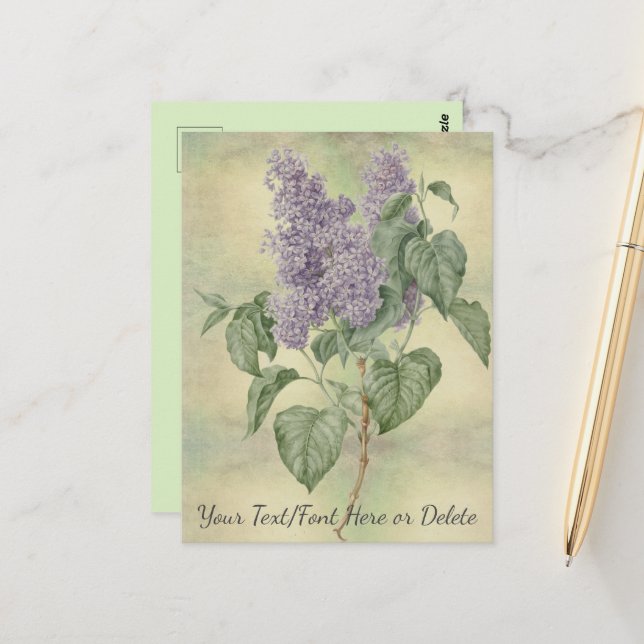Cartão Postal Vintage Botanical Purple Lilac Syringa Vulgaris (Frente/Verso In Situ)
