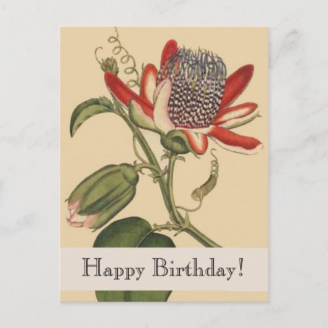 Cartão Postal Vintage Botanicals Happy Birthday (Frente)