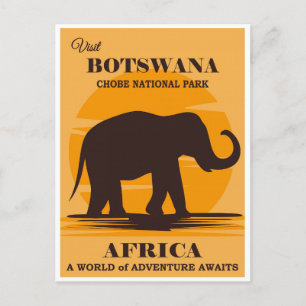 Cartão Postal Vintage Botswana Africa National Park Elephant