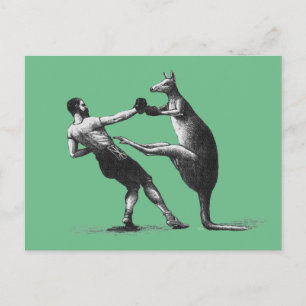 Cartão Postal Vintage Boxing cangaroo