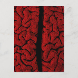 Cartão postal Vintage Brain