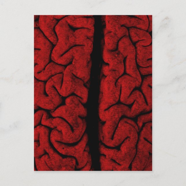 Cartão postal Vintage Brain (Frente)