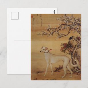 Cartão Postal Vintage Branco Greyhound Sob Flores de Cerejeira