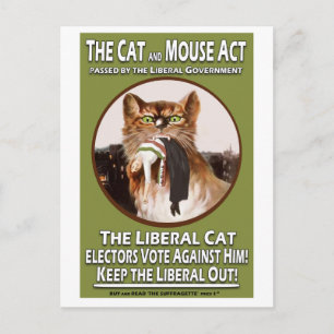 Cartão Postal Vintage British Suffragette Cat and Mouse Act
