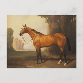 Cartão Postal Vintage Brown Thorough Horse