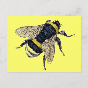 Cartão Postal Vintage Bumble Bee