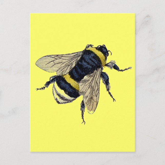 Cartão Postal Vintage Bumble Bee (Frente)