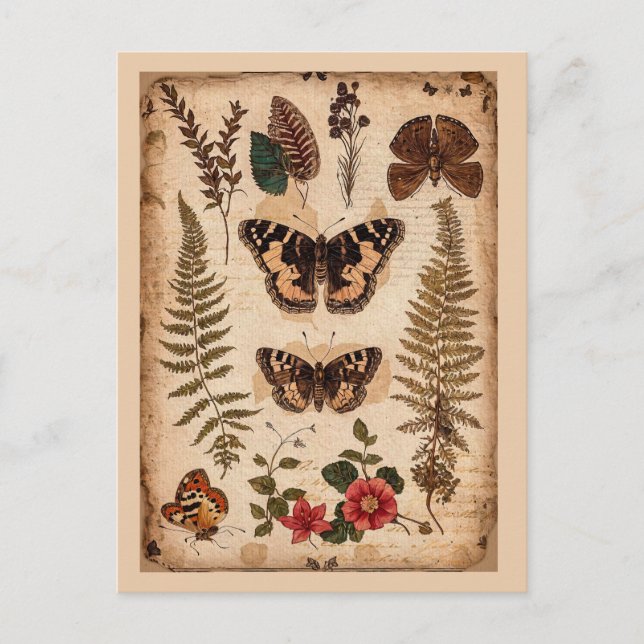 Cartão Postal Vintage Butterflies Ferns Nature Diário (Frente)