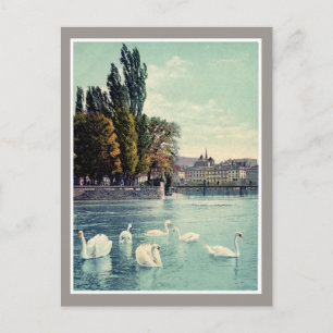 Cartão Postal Vintage c. 1900 Genève Swans at the Ile Rousseau