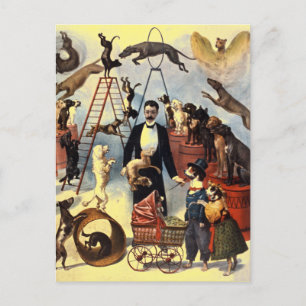 Cartão Postal Vintage Cães Circus Ilustração Arte Antiga Anti