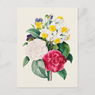 Cartão Postal Vintage Camellia Narciso e Flores Pansy