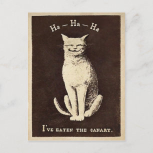 Cartão Postal Vintage Canary Cat