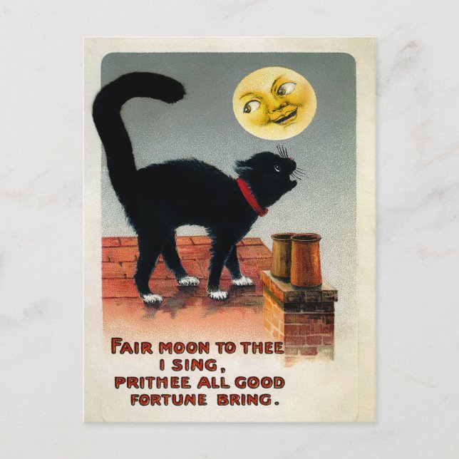 Cartão Postal Vintage Cat and Moon (Frente)