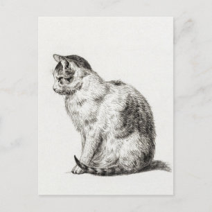 Cartão Postal Vintage Cat Black White Penciage Art