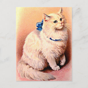 Cartão Postal Vintage Cat com Arco Azul