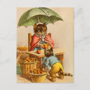 Cartão Postal Vintage Cat em um Cartão-postal de Fruta