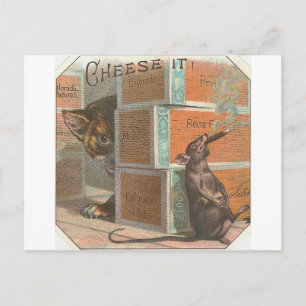 Cartão Postal Vintage Cat Olhando Para O Rato Fumante