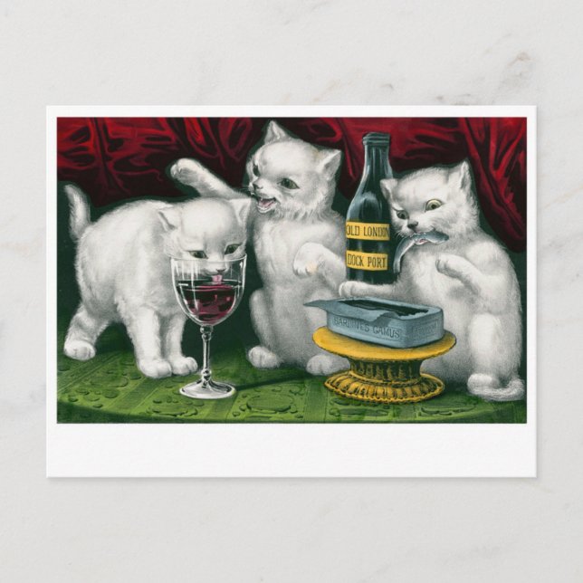 Cartão postal Vintage Cats (Frente)