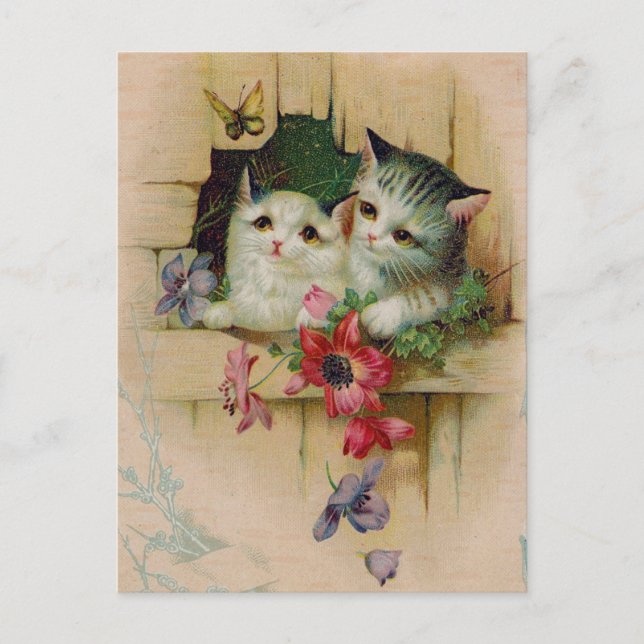 Cartão postal Vintage Cats (Frente)