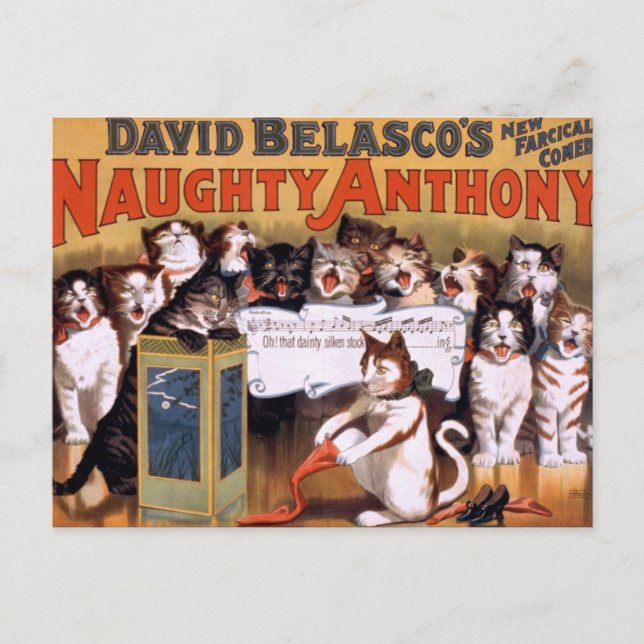 Cartão Postal Vintage Cats (Frente)