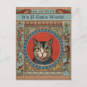 Cartão Postal Vintage Cat's Life for Gatinho Lovers