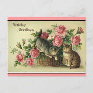 Cartão Postal Vintage Cats Pink Roses Cesto Floral Cartão-Postal