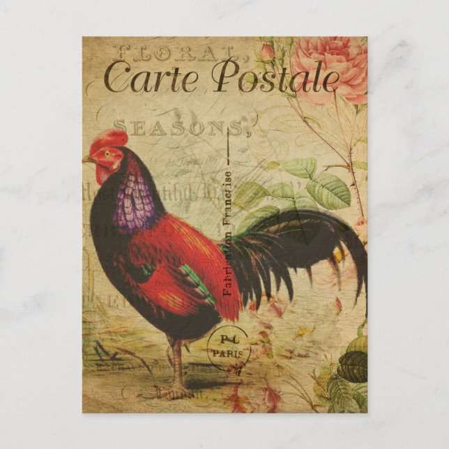 Cartão Postal Vintage Chicken Hen Rooster - Ilustração francesa (Frente)