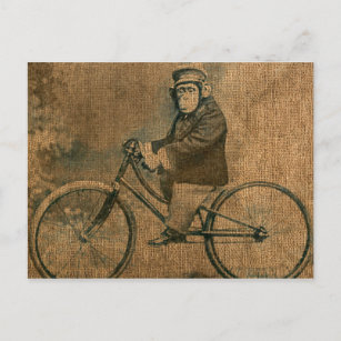 Cartão Postal Vintage Chimp Andando uma Bicicleta