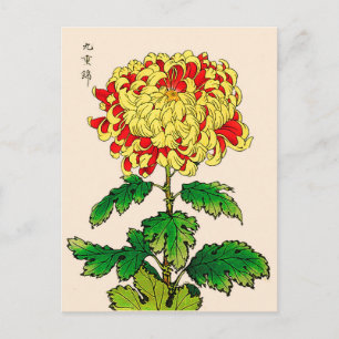 Cartão Postal Vintage Chrysanthemum Japonês. Amarelo de mostarda