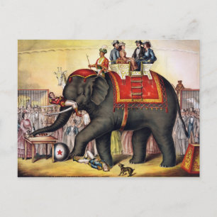 Cartão Postal Vintage Circus Elephant