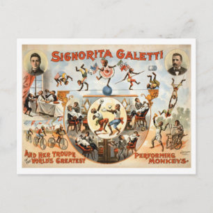 Cartão Postal Vintage Circus Galetti e Macacos Artistas