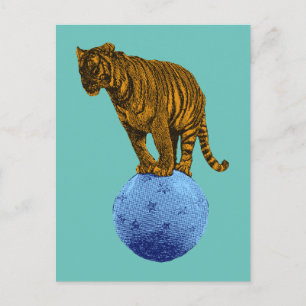 Cartão Postal Vintage Circus Tiger