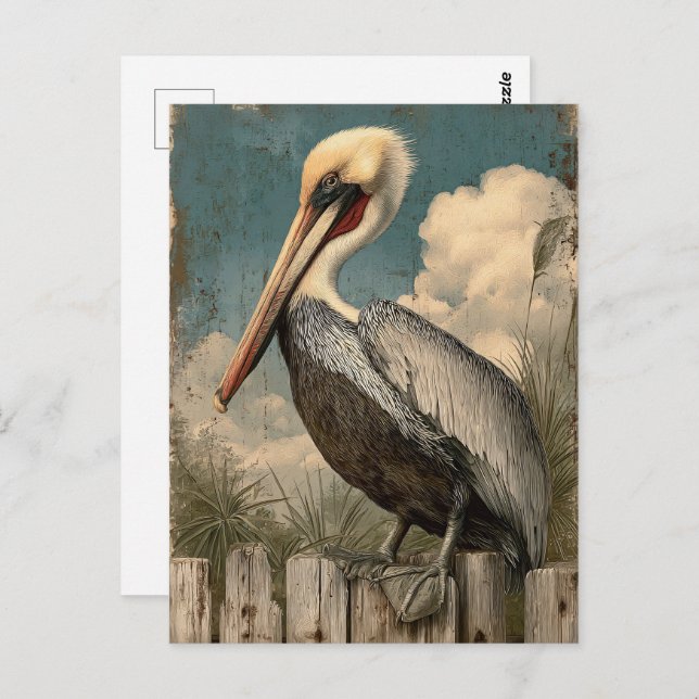 Cartão Postal Vintage Coastal Pelican (Frente/Verso)