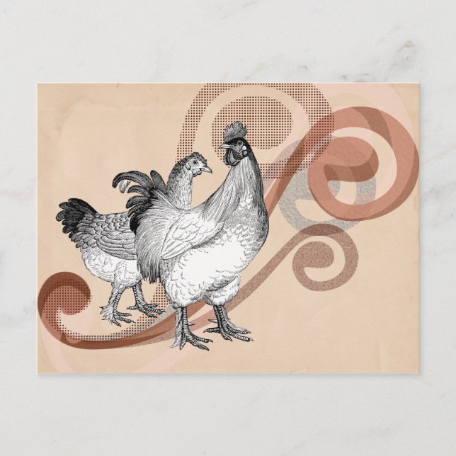 Cartão Postal Vintage Cochin Chickens (Frente)