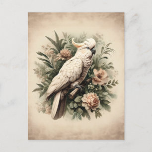 Cartão Postal Vintage Cockatoo Botânico