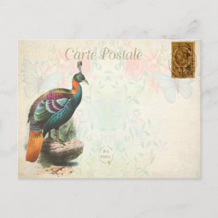 Cartão Postal Vintage Colorida Exotic Bird Floral French