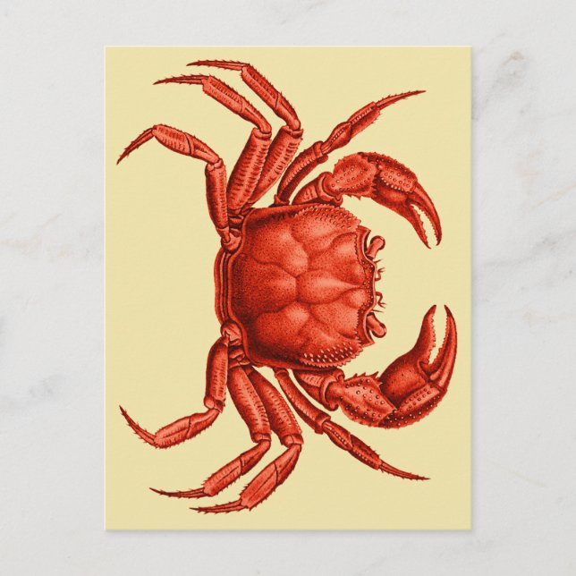 Cartão Postal Vintage Crab Design (Frente)