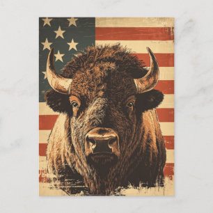 Cartão Postal Vintage da bandeira americana Bison