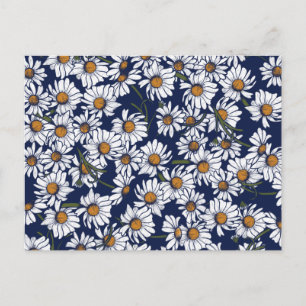 Cartão Postal Vintage Daisies Daisy Garden