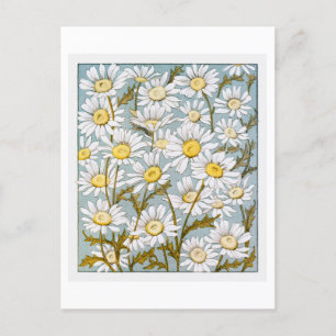 Cartão Postal Vintage Daisies no Cartão-Postal Azul