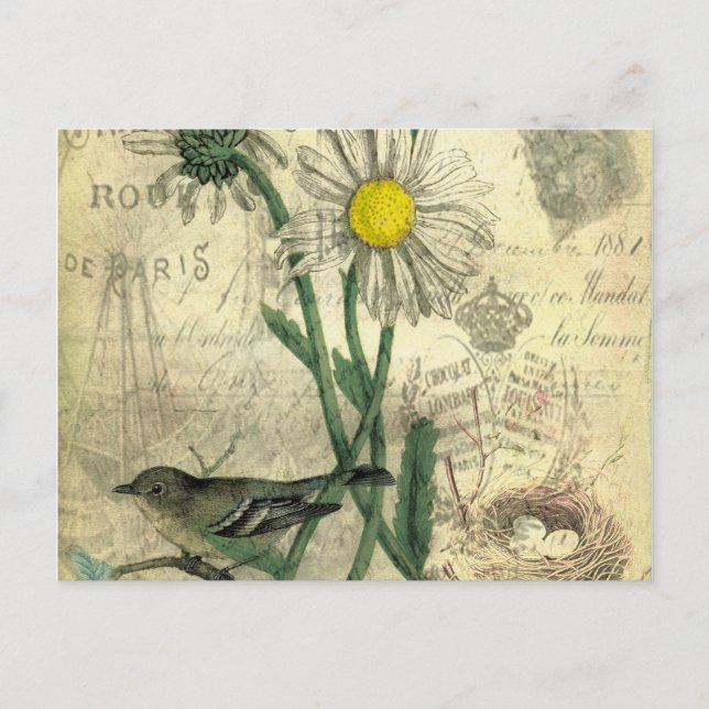 Cartão Postal Vintage daisies postcard (Frente)