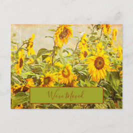 Cartão Postal Vintage De Campo De Girassol Nós Mudamos Amarelo