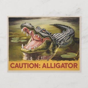 Cartão Postal Vintage de Ilustração de Precaução do Alligator In