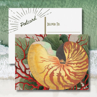Cartão postal vintage de praia com conchas e coral