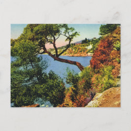 Cartão postal Vintage de réplica, Toulon, Boné Bru