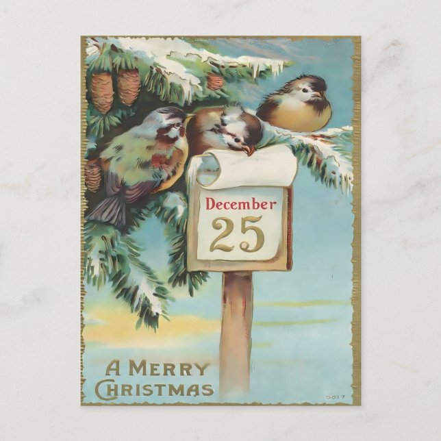 Cartão Postal Vintage December 25th Birds & Pine Christmas (Frente)