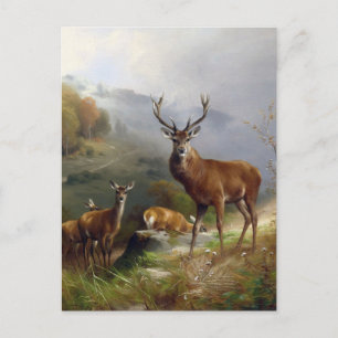 Cartão Postal Vintage Deer Stag - Animais Velhos Ilustração Arte