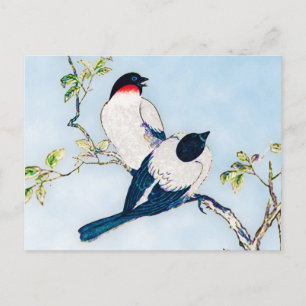 Cartão Postal Vintage - Desenho de Tinta Japonesa das Finches